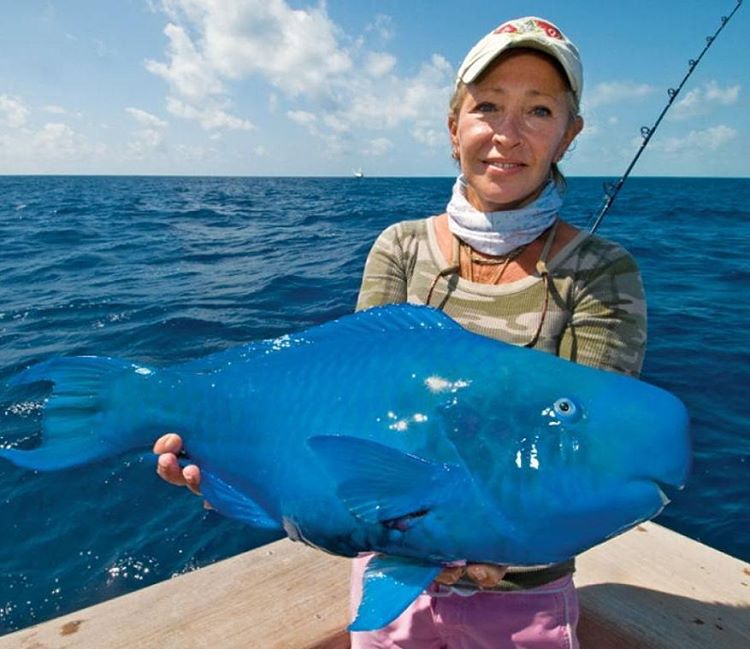 catchfishingpro's tweet photo. @catchfishingpro #fishing #bluegroper https://t.co/qiSr5QOOLW