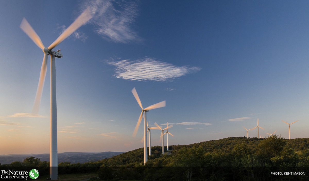 Nature_Climate's tweet photo. The “global energy tsunami” is coming – the only question is will Ohio participate? #CleanEnergyOhio https://t.co/MrnO9h7ezz https://t.co/M78wRYbUwb