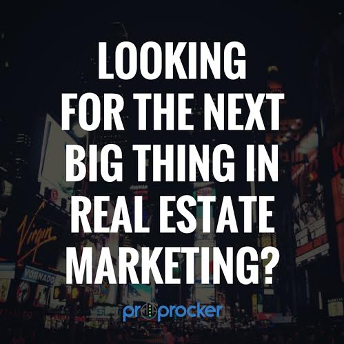 proprocker's tweet image. You've already found it. #proprocker