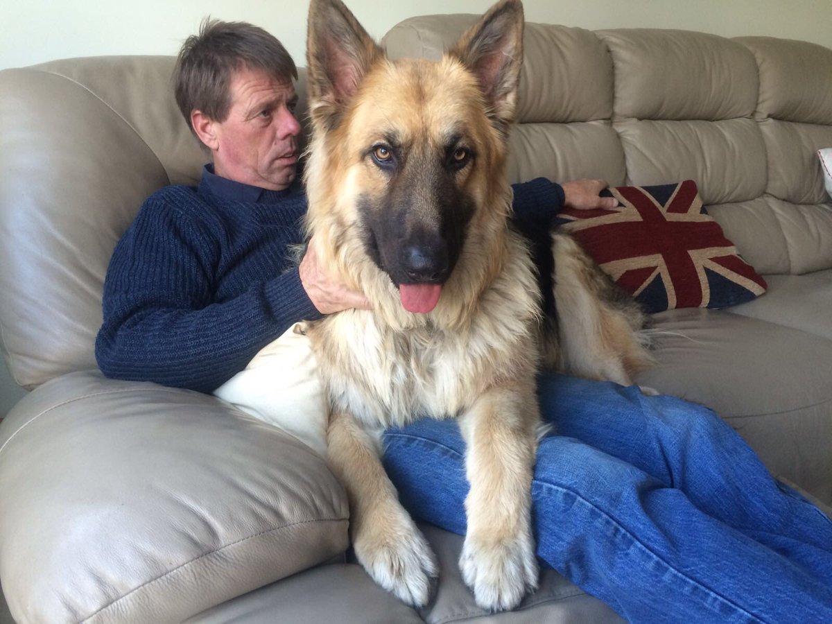 Dave Miles tweet media