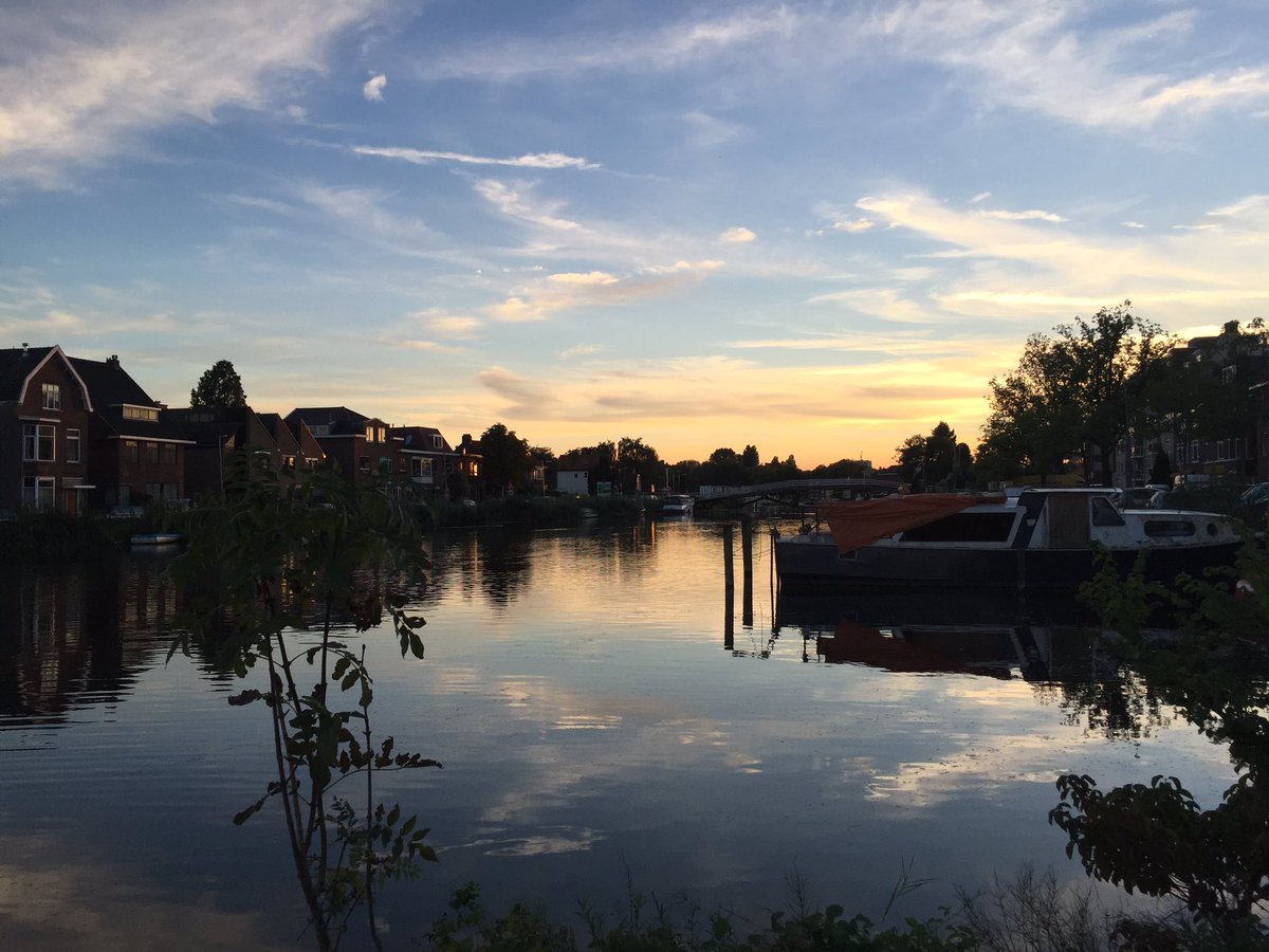 RotteRoots (@rotteroots) on Twitter photo 