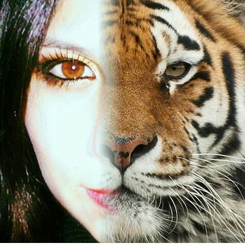 Mille_82's tweet photo. @TropicalidaEc #Safari #SafarienTropicalida #Tropicalida #Safari
Yo quiero ganar el IPhone 6
(Michelle Castillo) https://t.co/NT9UW8sqX9