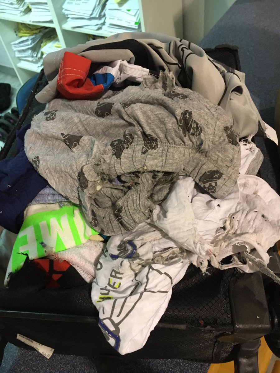 Sam O'Neill tweet media