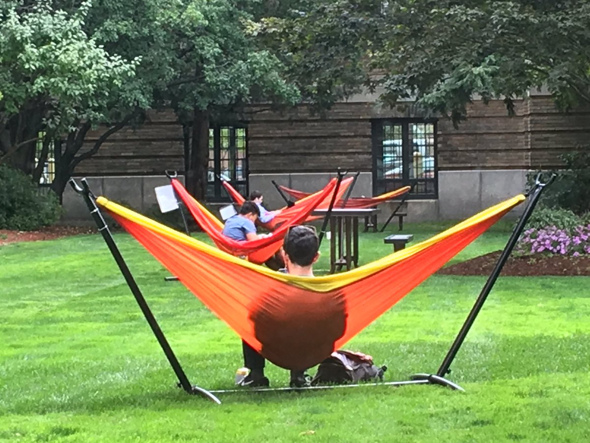AnnamariaWenner's tweet photo. #scenesfromadeanswindow #hammocktime https://t.co/HwK1JovGB2