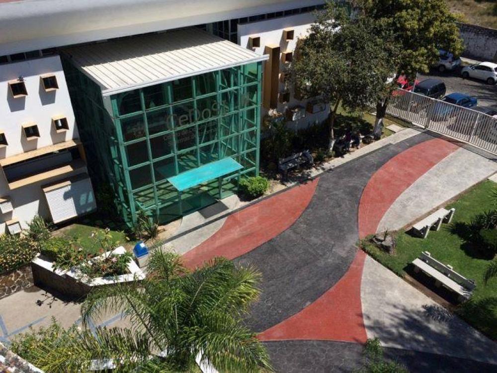 OficialCUCS's tweet photo. @BiblioCUCS 55 mil títulos impresos y digitales ofrece #CEDOSI a la comunidad universitaria de Ciencias de la Salud: https://t.co/P7YNSthKNs https://t.co/f65KatjhA3