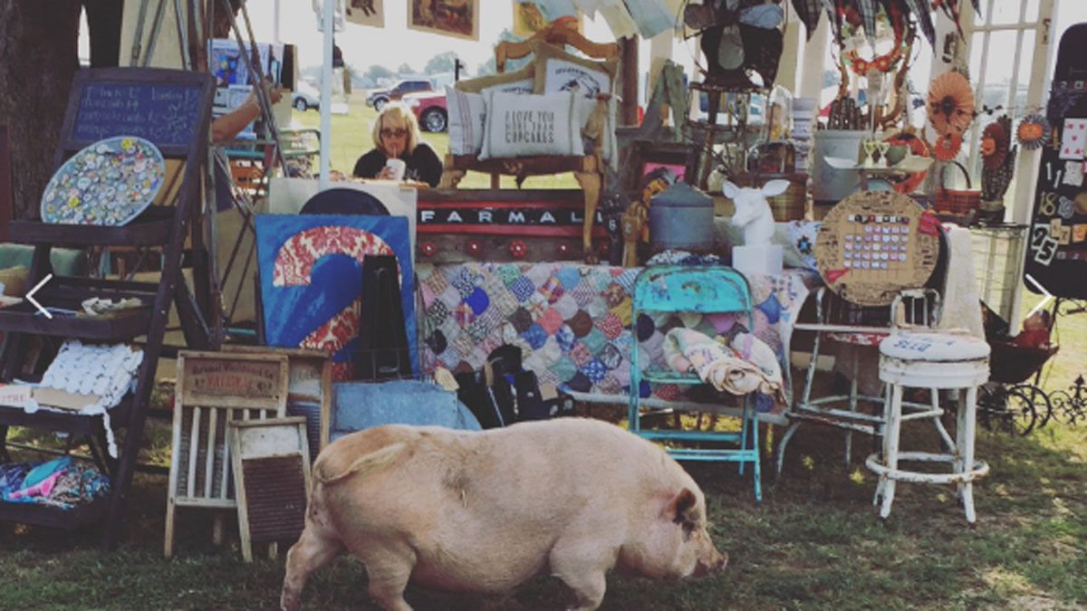 Norman's 'Farm Girl Fair' To Benefit Center For Children &amp; Families bit.ly/2d6Dvs0 #News9