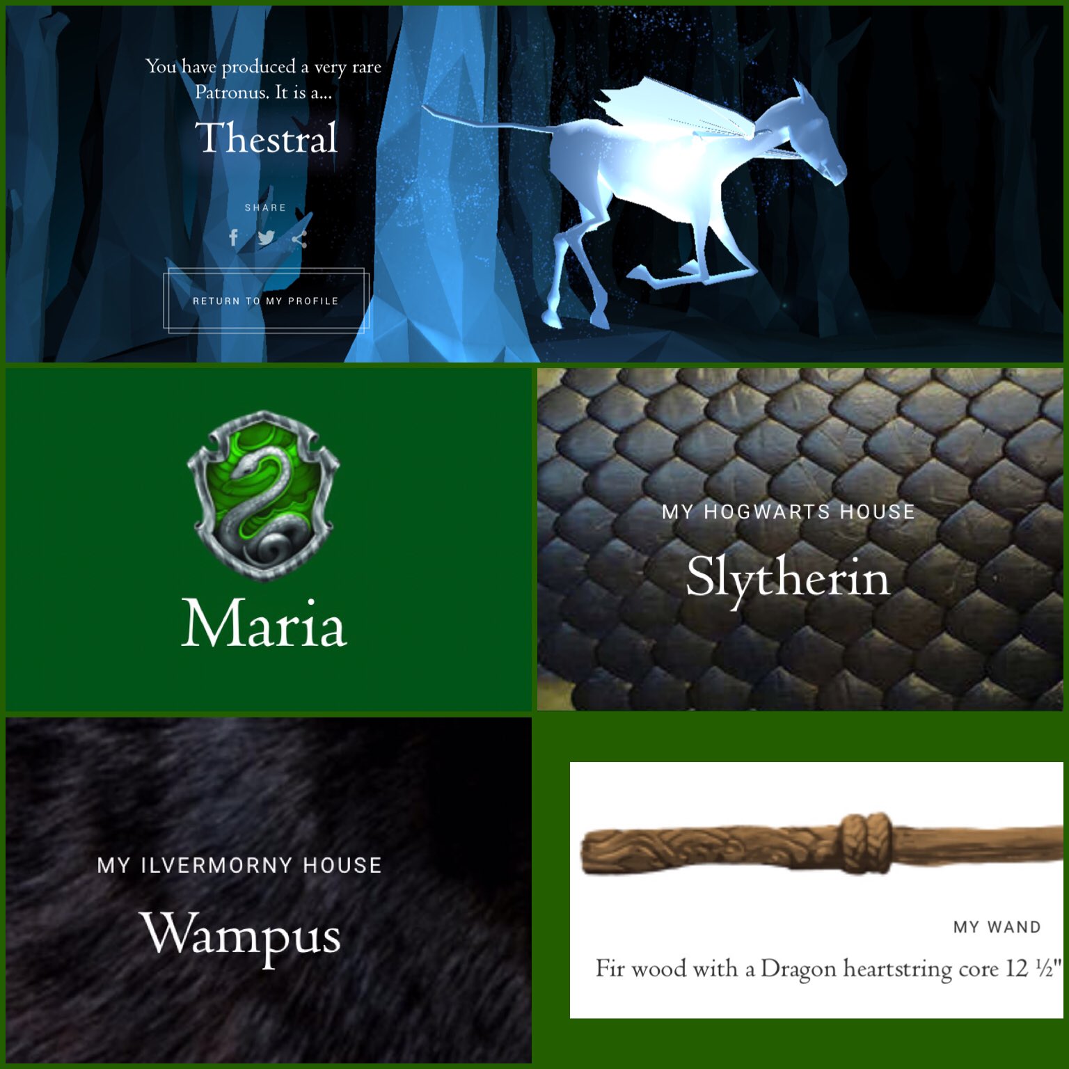 POTTERMORE QUIZ  Wand & Patronus 