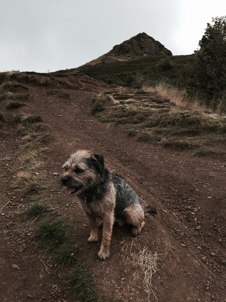 TopDogAlf's tweet photo. Roseberry topping https://t.co/slMfCOBOgy