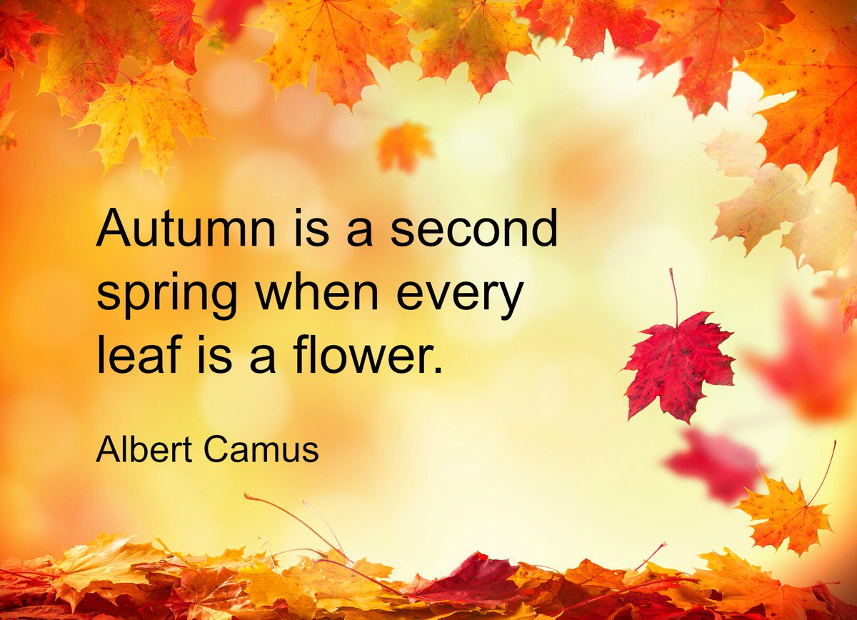 Homestay4all's tweet image. Enjoying the season? Fall is special! #studyabroad #internationalstudent #homestay