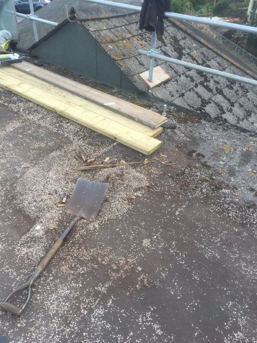 Daniel Russell tweet media