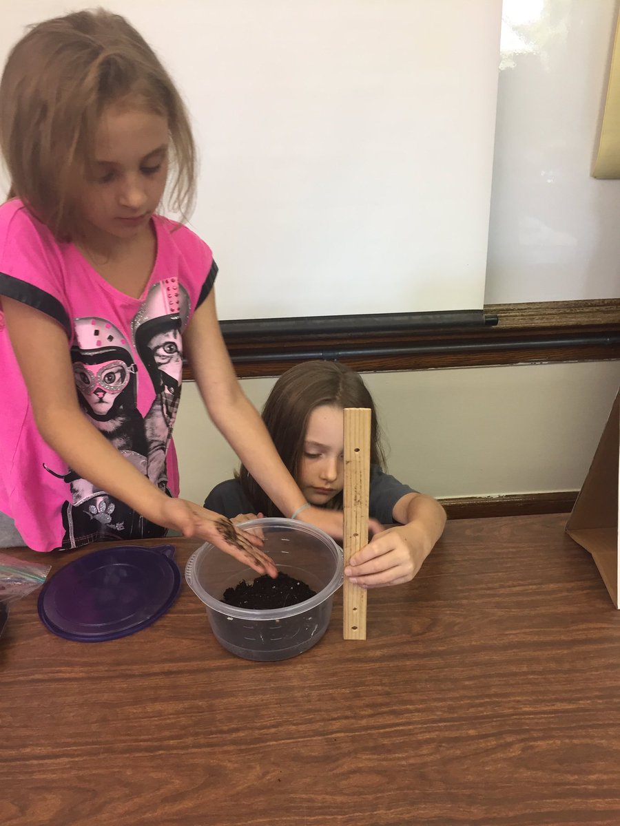 MrsSwal's tweet photo. 3rd grade scientists busy at work! @WalshVikings @FSDVikings https://t.co/20dgDh9pzx