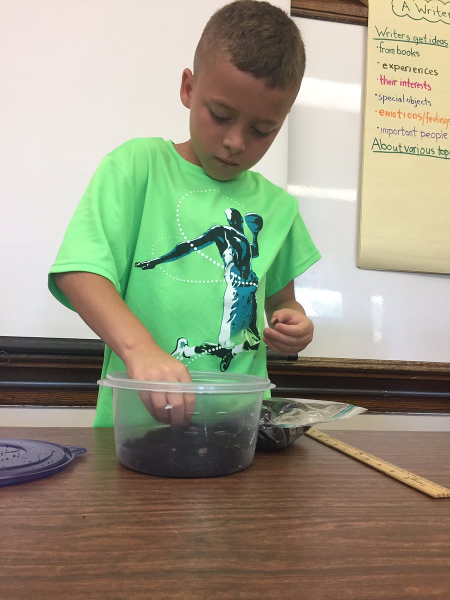 MrsSwal's tweet photo. 3rd grade scientists busy at work! @WalshVikings @FSDVikings https://t.co/20dgDh9pzx