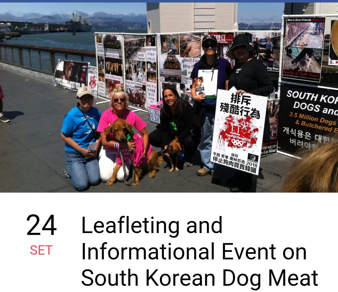 Koreandogs's tweet photo. 🔊OUR LEAFLETING EVENT🔊
❗TODAY SEPTEMBER 24❗
📌#SanFrancisco
#EndDogMeatTrade #SouthKorea 
👉https://t.co/eAHXWlG43E https://t.co/TtRQ9u7m7c