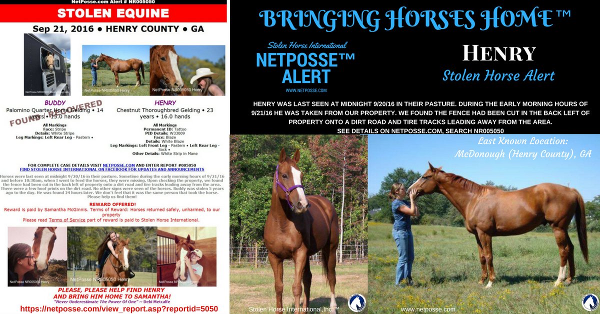 netposse's tweet photo. @WSPA7 Buddy Found in SC/Henry Still Missing https://t.co/xeYvKhS6e1 #HelpFindHenry #StolenHorse #NetPosse #Georgia https://t.co/6VHF0tDSks