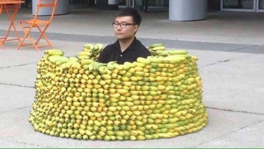 me, surrounding myself with vegan knowledge to protect myself from carnist ignorance