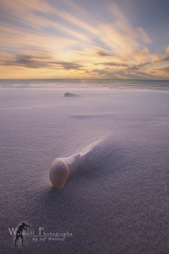 WaldorffPhoto's tweet photo. "Time in Motion"

#waldorffphotography https://t.co/gVy3mNwH2p
