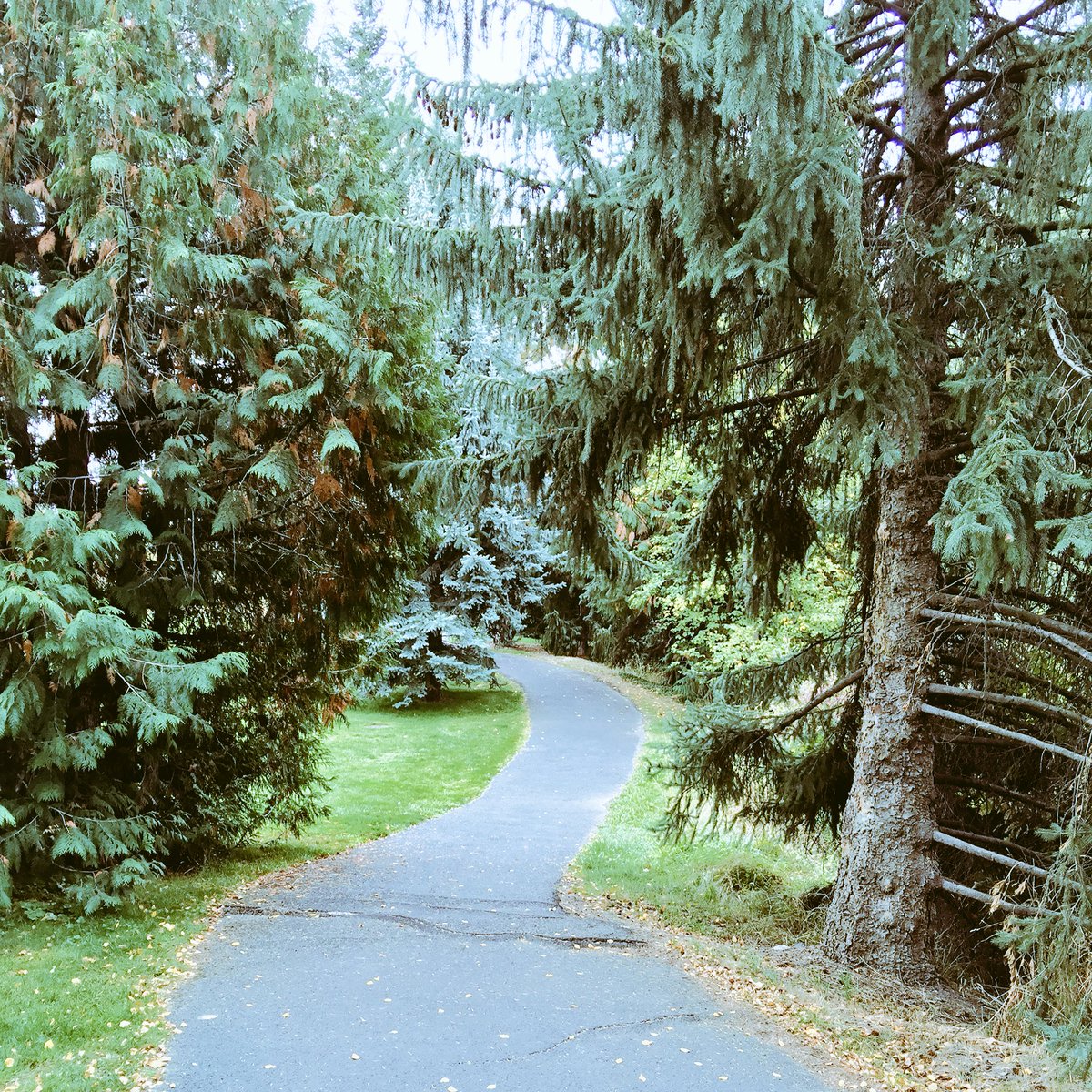 andrewhuh94's tweet photo. No class, no problem, let's go hiking #comjour333pix https://t.co/cU6n7NGVMZ