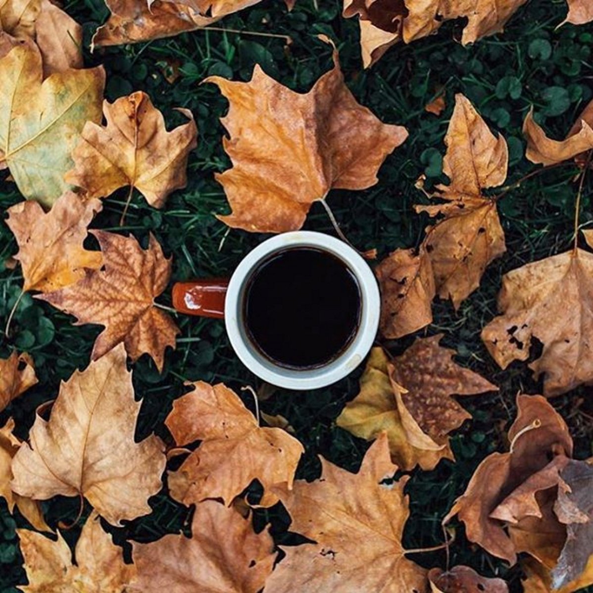 It's the first weekend of fall! What's your favorite fall coffee beverage? 🍁☕️ Photo: bit.ly/2d6BPgu