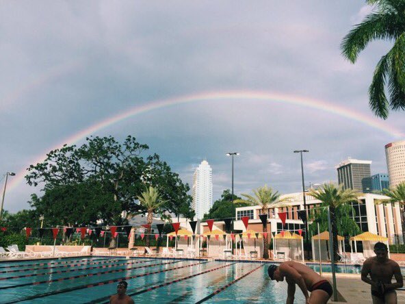 UTampaSwimming's tweet photo. So yeah, we train in paradise 🌴☀️ (photo cred @sarah_mandis )#UTSwim https://t.co/SsyrTNNlHm