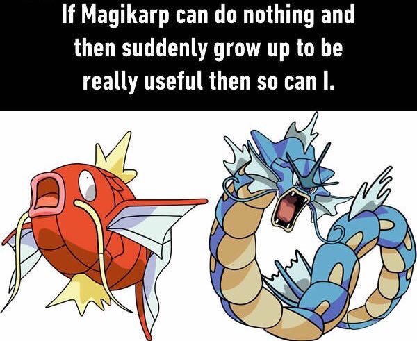 Pokemon_Days's tweet image. 