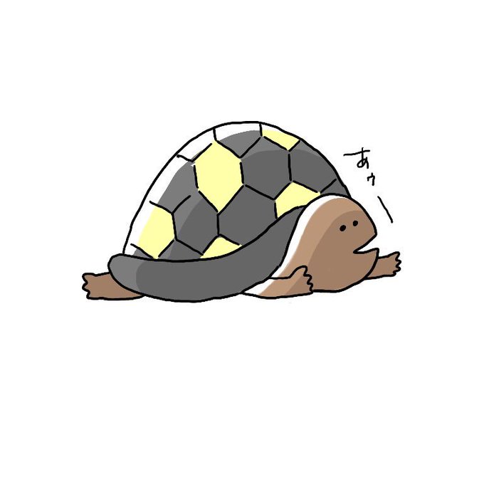 ヒガシヘルマンリクガメのtwitterイラスト検索結果