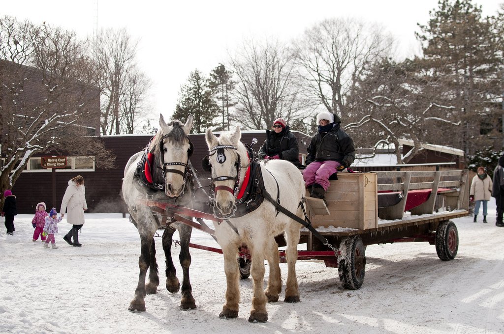 Want to celebrate 2017 with your #family? Book for <a href="/YMCAGP/">YMCA Geneva Park</a> #Winterlude by calling 1-866-895-9622.
