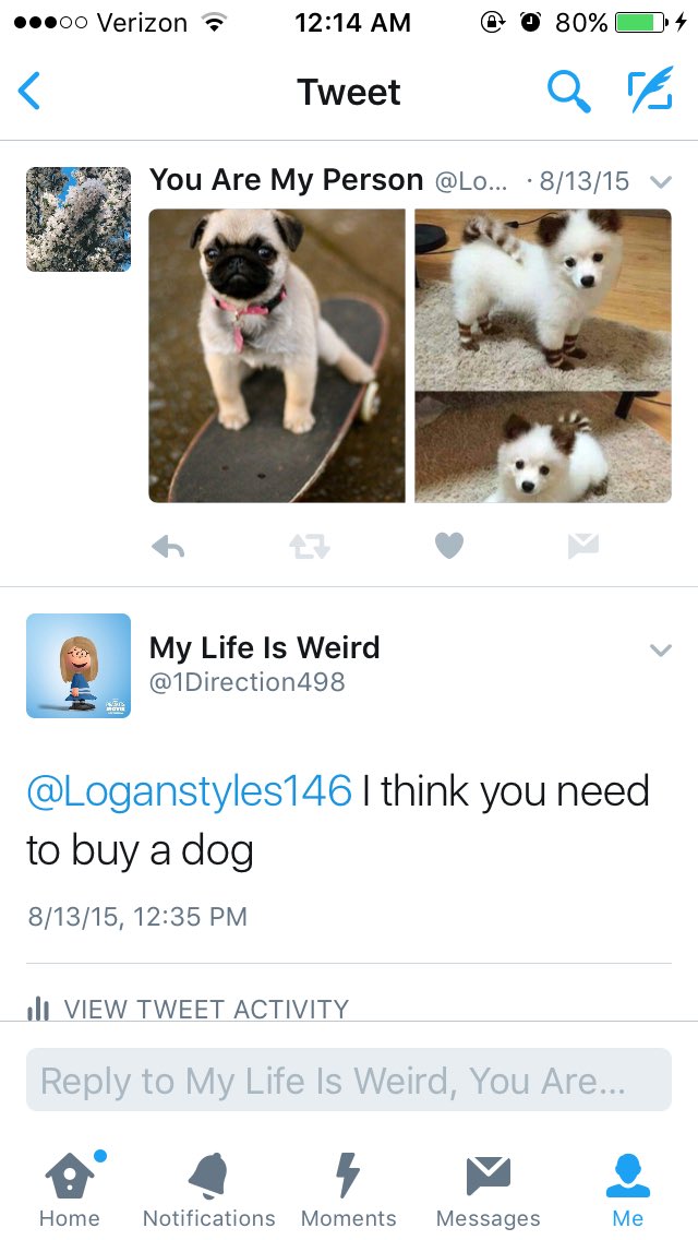 1Direction498 tweet picture