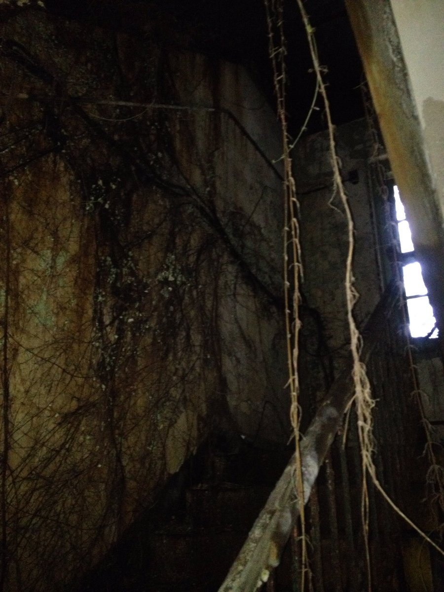 ni_re's tweet photo. @AaronGoodwin @coldhardtruth Lab in ruins, linear particle accelerator still underwater #EdHaslam #DrMarysMonkey #SecretLab https://t.co/ZcX0Izcq7u