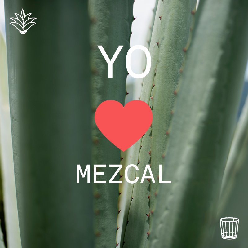 PorQueMezcal's tweet photo. #PorQuéMezcal #HechoAManoEnMéxico https://t.co/bVEZKog87n