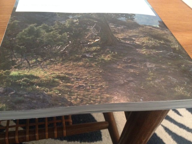 HessInSeattle's tweet photo. @LLBean I love that you included a picture of the tree you killed to bring to send me a 323 page catalog. https://t.co/QhHtiiXEB7