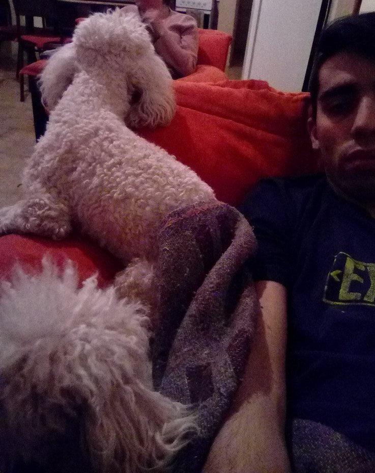 NachinCabj's tweet photo. @creeloyasisera mirando tu directo crack con los perros bien de machoos !!!
Felicidades por esos 100k hno 
Saludos desde Mendoza https://t.co/jaSlAfT35w