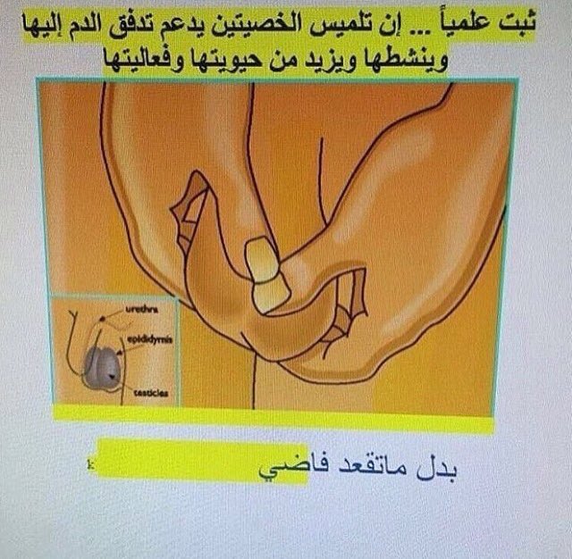 srbor11's tweet photo. 🙊❤️الي فاضيه تهمزهن لي تشوفه ب المف��له
#قحبه #بدويه #كسى #جادة #خنيث #بدويه #شهوة #متزوجه #محرومه #كبيره #ممحونه #دبدوبه #طيز #كويتيه #خلفى https://t.co/lCdx5o4qF7