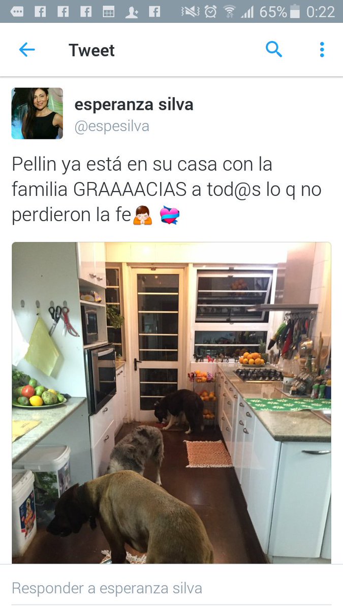 bartorell's tweet photo. #Pellin FUE ENCONTRADO x @maureirapasten ya está con su familia,  @espesilva
Gracias a todos por difundir https://t.co/I8dE10tfT8