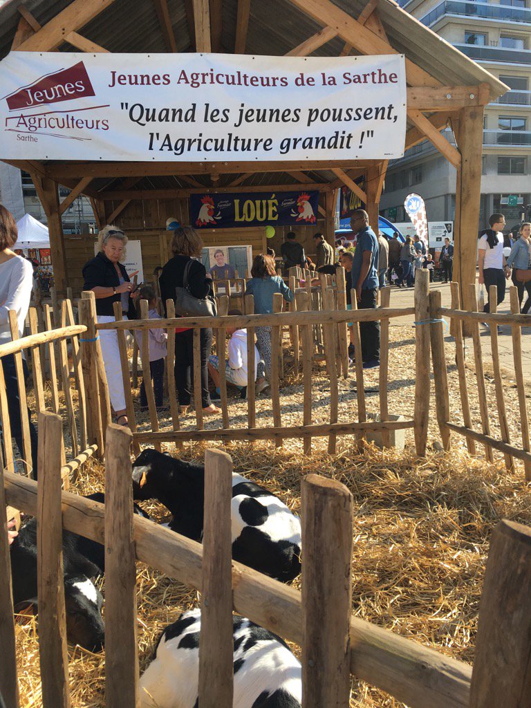 jmlaffay's tweet photo. #ProduitsdeTerroir place de la République #LeMans, 24hdelacuisine #Abbayedel'epau : we gastronomie en #Sarthe ! https://t.co/vywGmepxuu