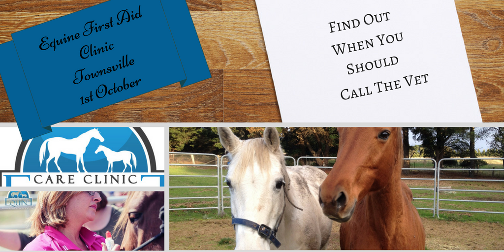 EquineCC's tweet image. Learn when to #callthevet and #whentoworry#equinecareclinic BOOK NOW #TOWNSVILLE FILLING FAST bit.ly/2bIbPXy