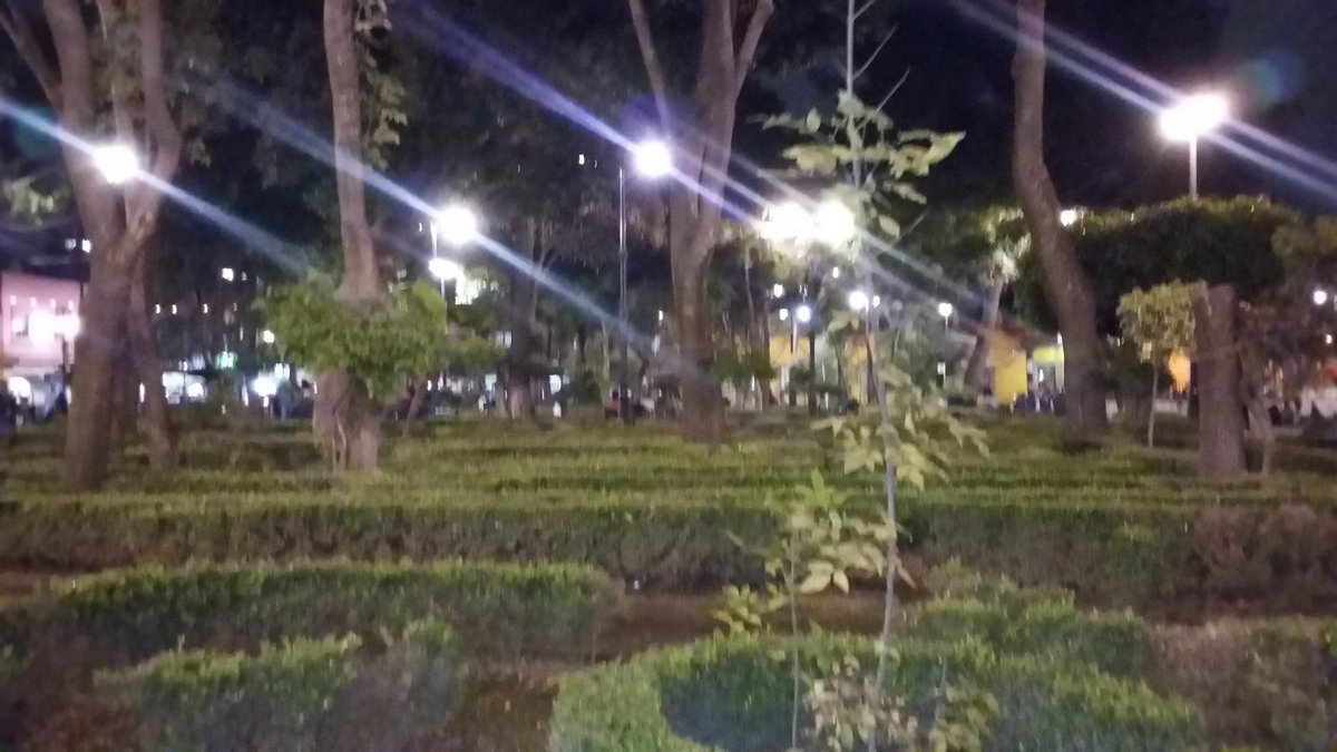 AzulPensativa's tweet photo. Hoy un excelente paseo por Coyoacán 😇 https://t.co/kAfd9vnnyH
