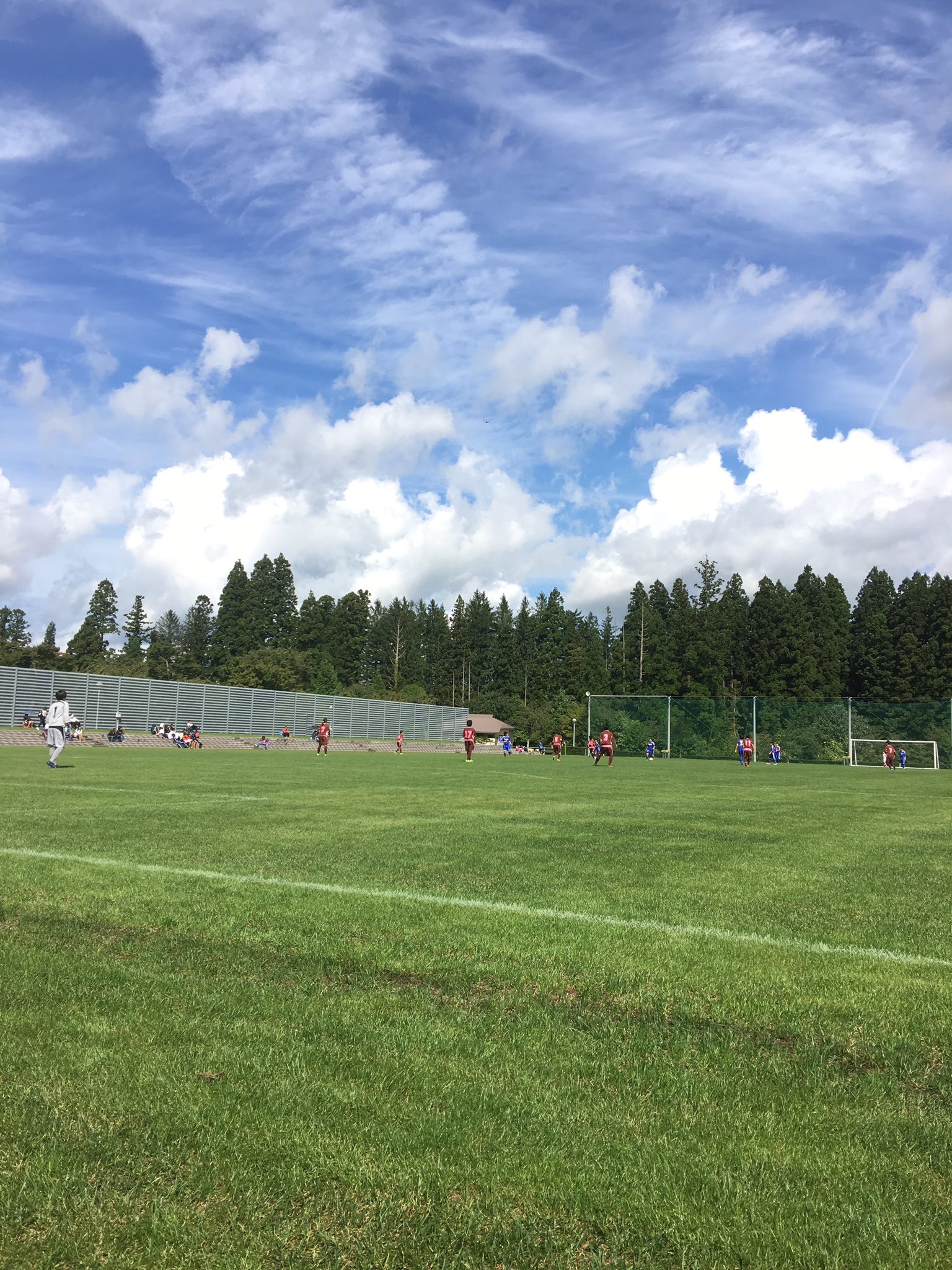 サッカー県大会の会場の石と芝