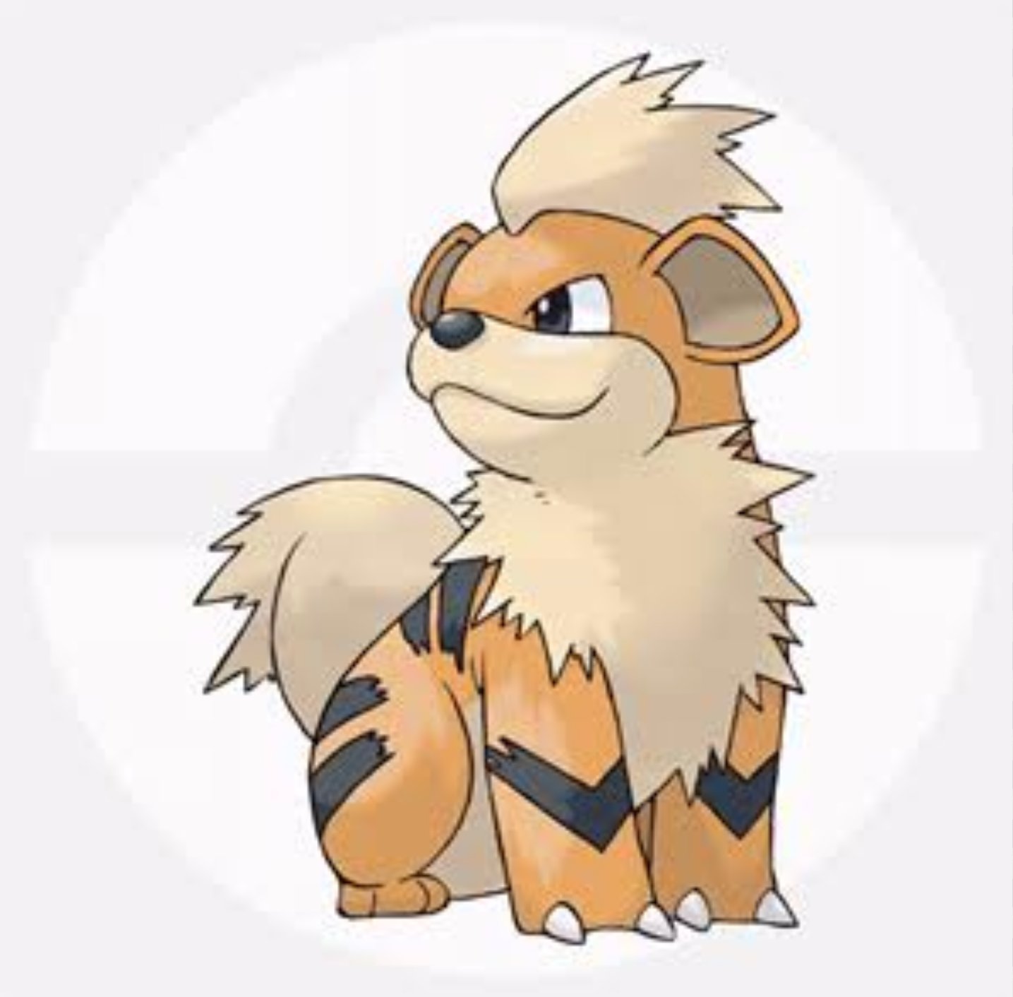 バッタくん Battakun Twitterissa ポケモン全くしたことなくて知らないって言ってた人に嘘の進化教えたら え ウインディってエンテイに進化するのー って名前バッチリ答えやがったよ T Co 2n7ghwdcux Twitter