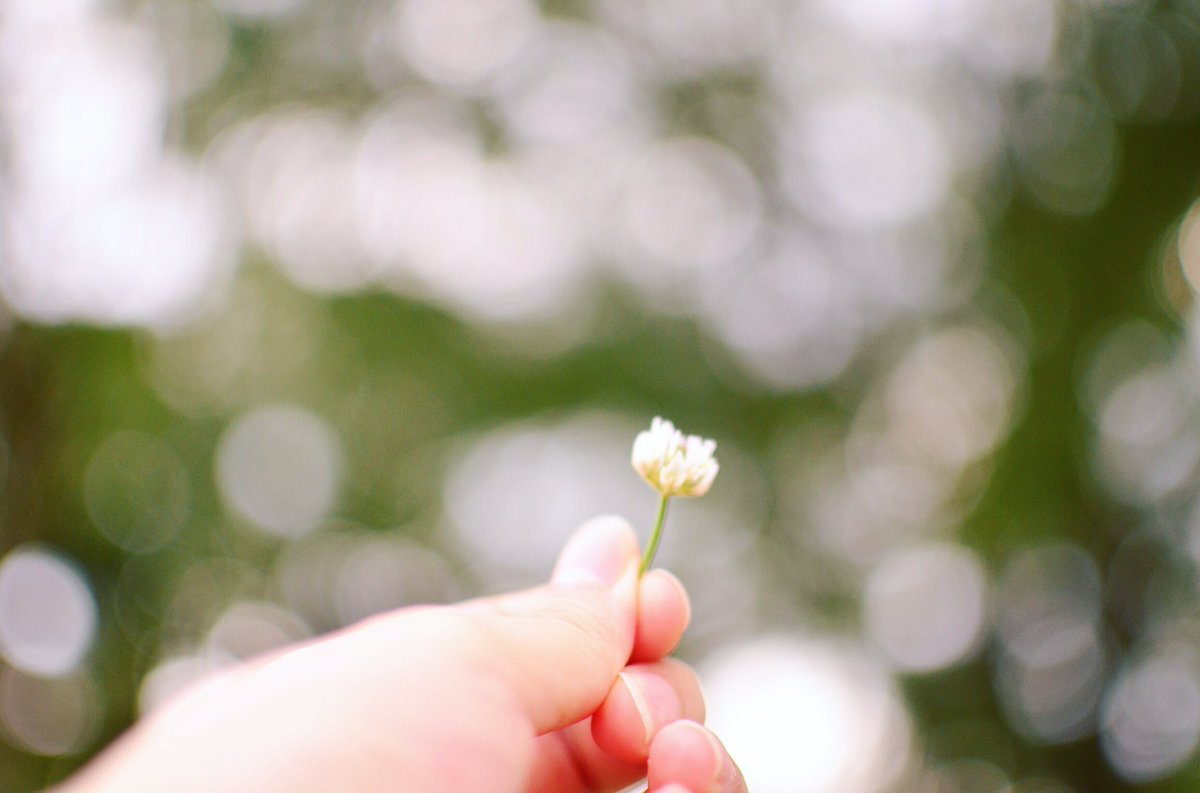 5___sky's tweet photo. 大阪の万博公園にて 🌿🌿
子供のように はしゃいで
きました 。

#写真撮ってる方と繋がりたい 
#写真好きな人と繋がりたい
#ファインダー越しの私の世界
#お洒落さんと繋がりたい https://t.co/u7p20EtwN0