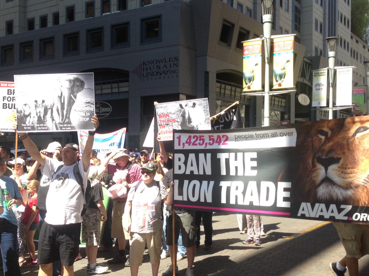 MandyRudeNC's tweet photo. #marchforelephants #protest for #lions &amp; #rhinos outside convention on opening day of #CITESCoP17 in #SouthAfrica #iwt #cannedhunting https://t.co/cIqvIVjPH7