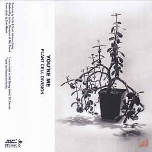 秘密のノイズ tweet media