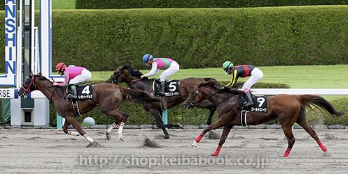 大阪スポーツ杯 パーティードレスが差し切り5勝目を挙げる 競馬情報のblog