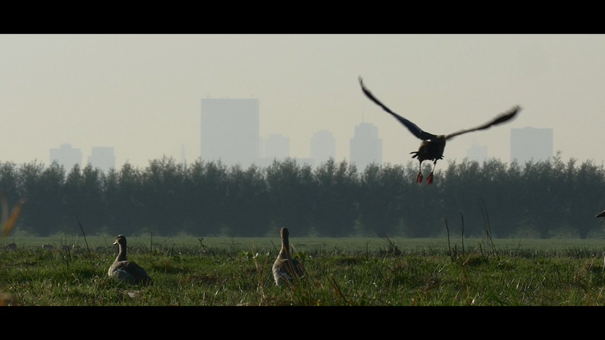 Videobureau's tweet photo. Een still uit de timelapse film #Rotterdam ****Zomer**** #binnenkort #timelapsetime @MiddenDelflandV @MDsite https://t.co/kcx1r3dm75