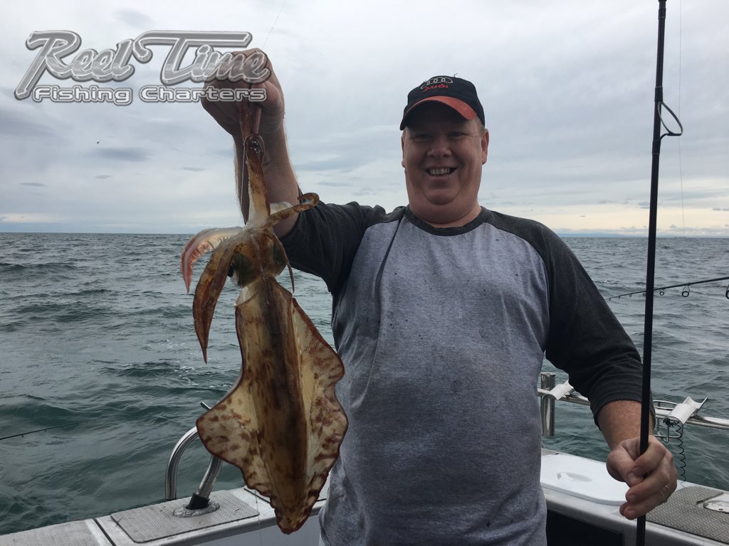 ReelTimeFishing's tweet photo. Finished up and heading In with a Bag Out ....Squid heaven . #squidfishingportphillipbay #snapperbait https://t.co/lXwIr3Ngp4