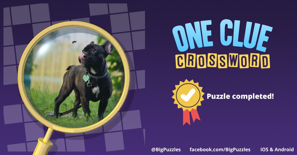 Paul Wilson tweet media