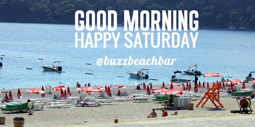 buzz beach bar tweet media