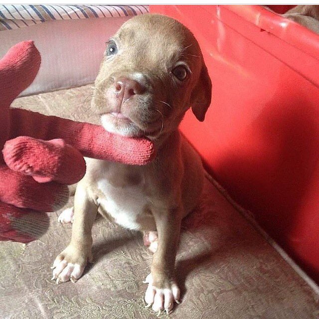 Watch princessmya😜's leaked NSFW photo on TwXstars