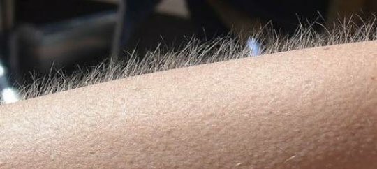 troyesivan's tweet image. iced almond lattes