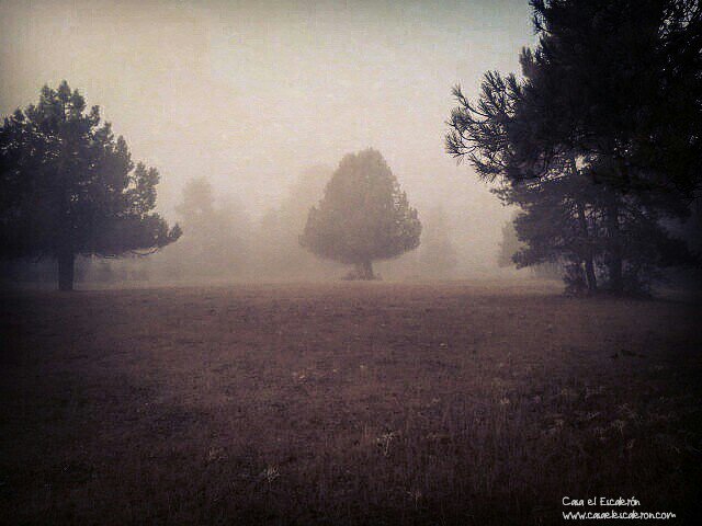 Llama a @AzeralEnvSci y disfruta de una #experienciarural apasionante👉 Berrea + charla + avistamiento de fauna 😄🌾🍃🌿