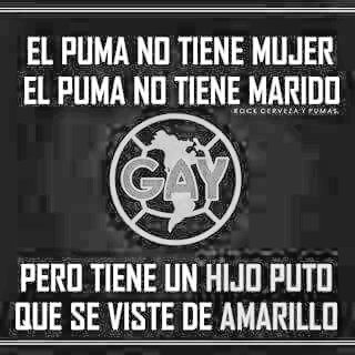 92762eccbcae43e's tweet photo. #Funeraldelagallina https://t.co/tYBCFoQYJf